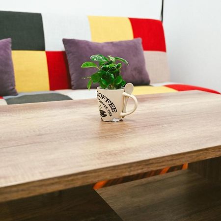 Cozy Apartment Braşov Dış mekan fotoğraf