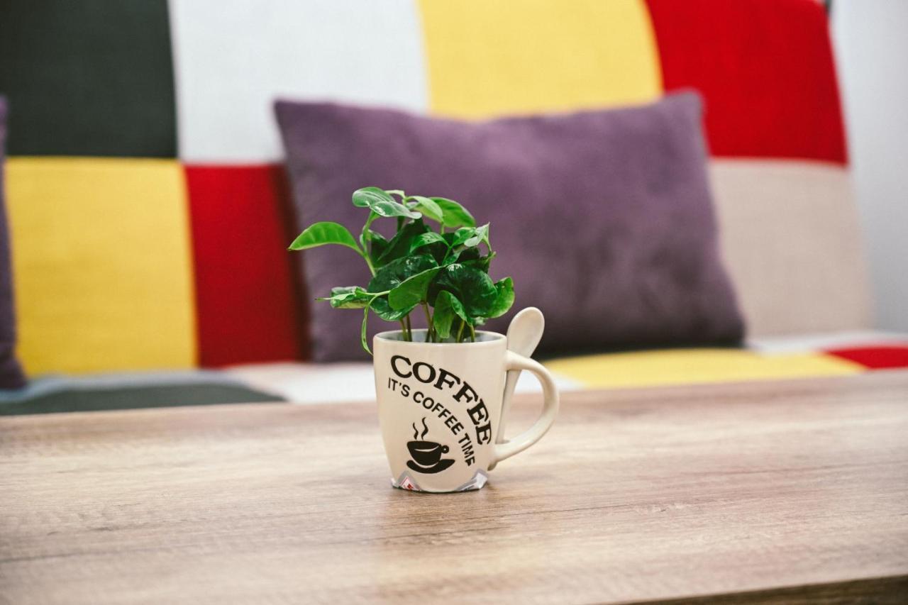 Cozy Apartment Braşov Dış mekan fotoğraf