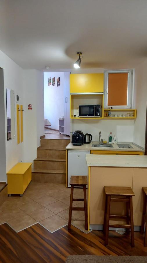 Cozy Apartment Braşov Dış mekan fotoğraf